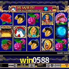 win0588 Rio de Janeiro - Professional Dealers